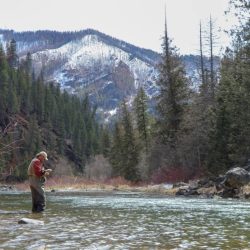 Montana fly fish