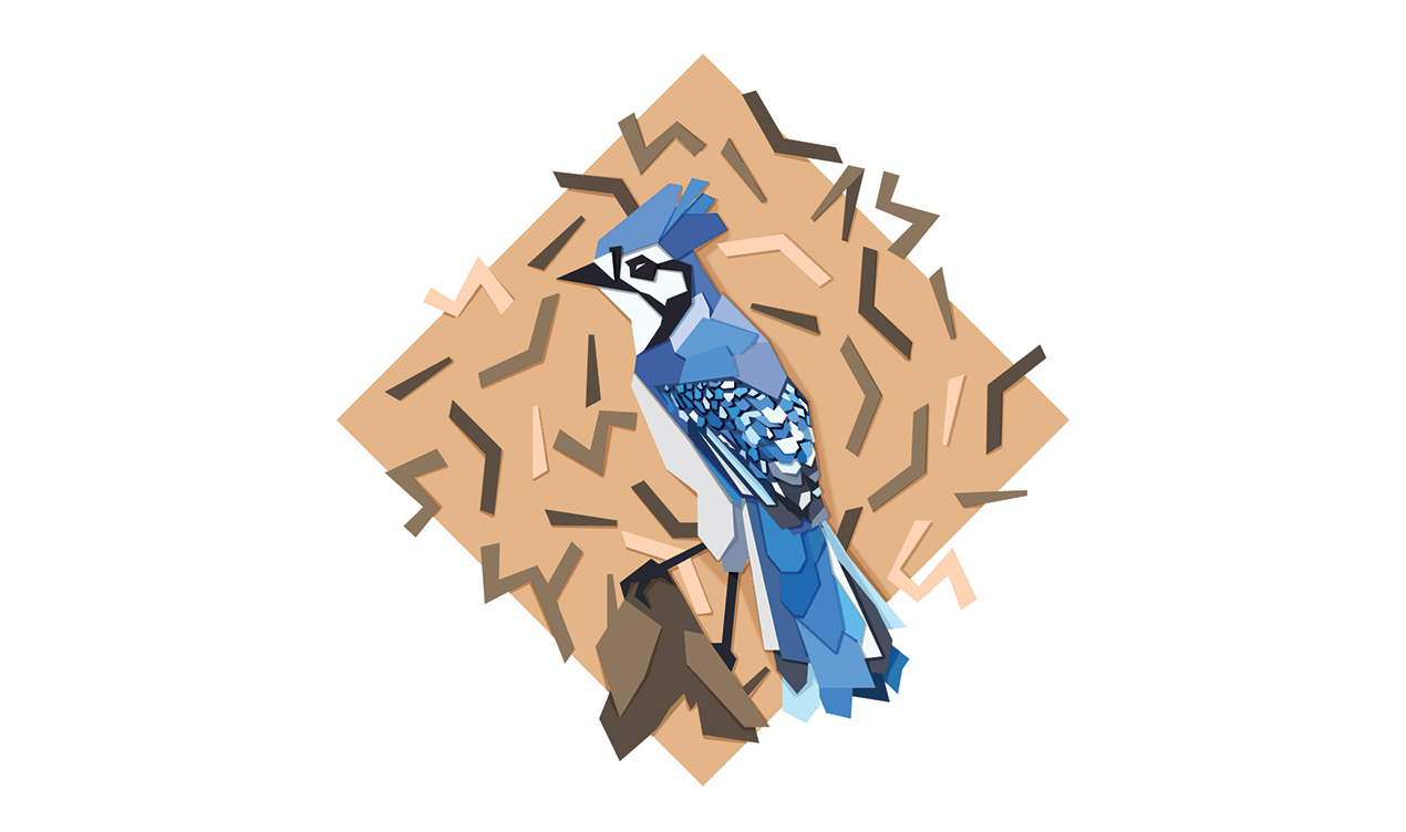 NumberOneBlueJaysFan-1