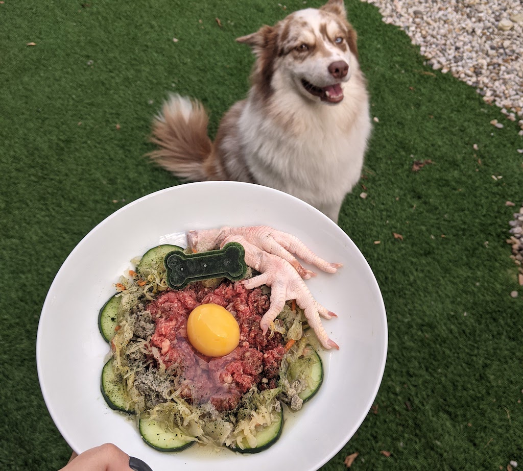 PXL_20211011_231222585.MP