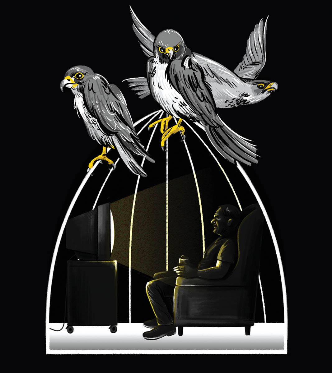 Perigrines_VeryShortStory