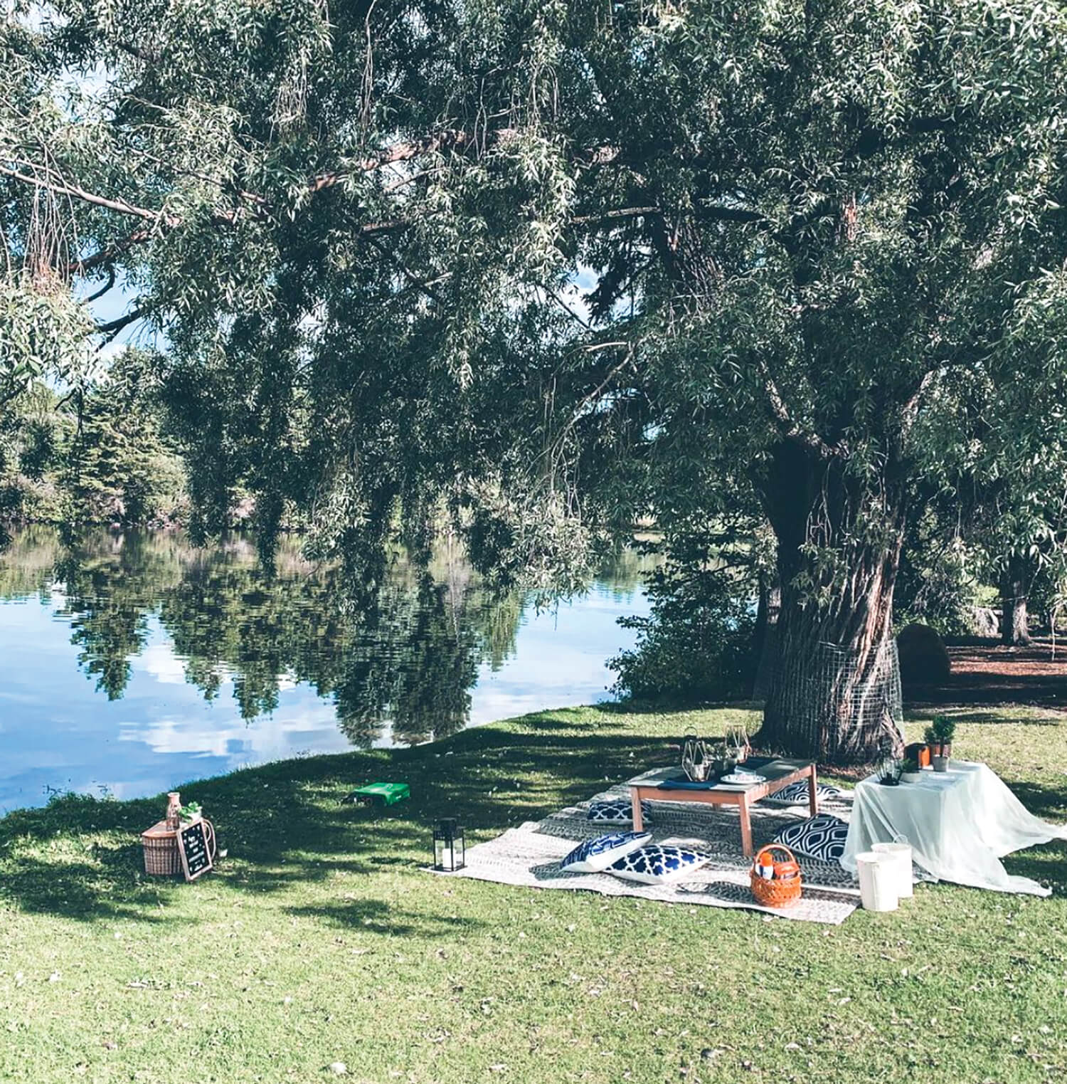 PicnicLaidOutUnderTreeOnGrass_WaterBehind