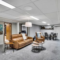PropertyOfTheWeek_WoodenWonderStAlbert_0008