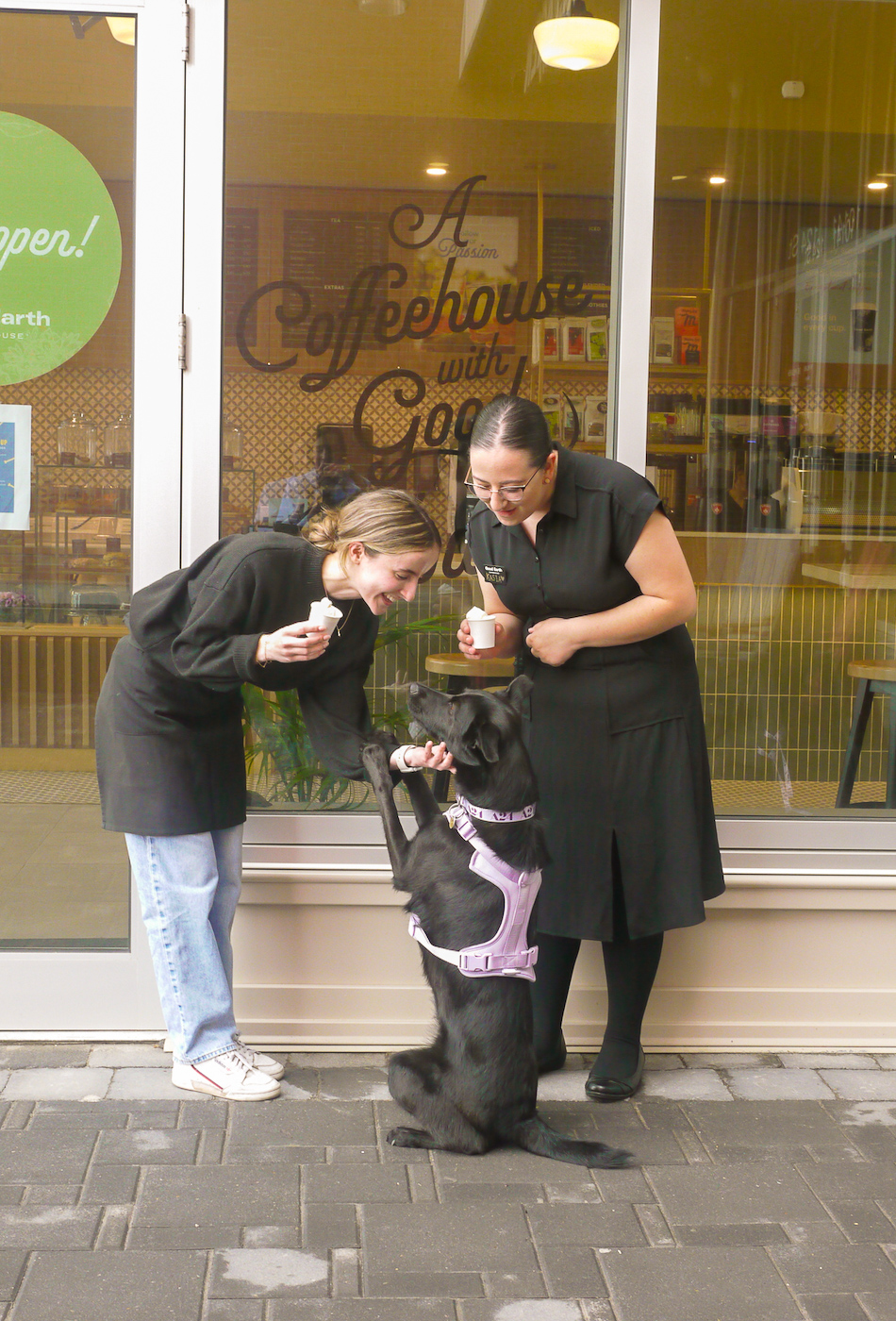 Puppucino_PopUp_June 1111