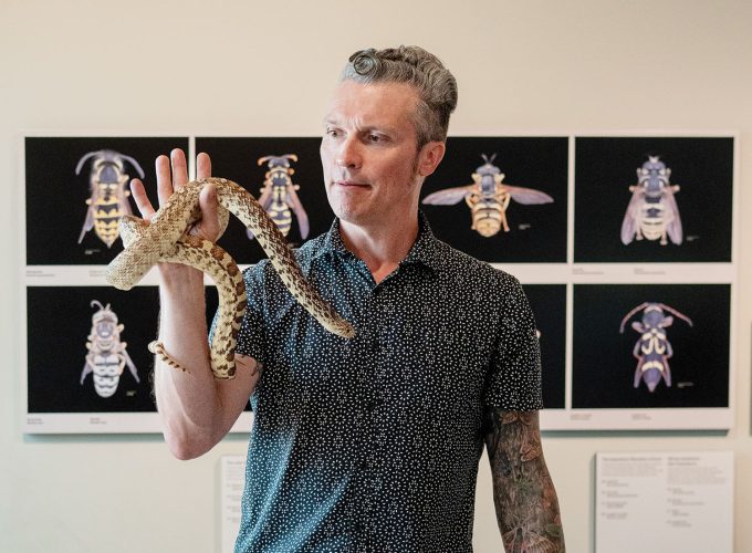 Keeper of the Creepy Crawlies