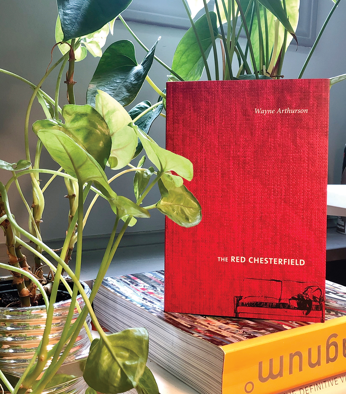 RedChesterfieldBook_Plants_Sunlight