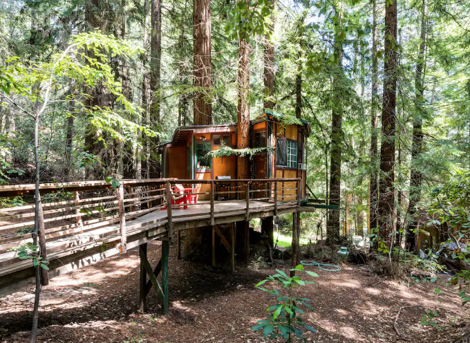Vacation of the Week: Redwood Treehouse in the Santa Cruz Mountains