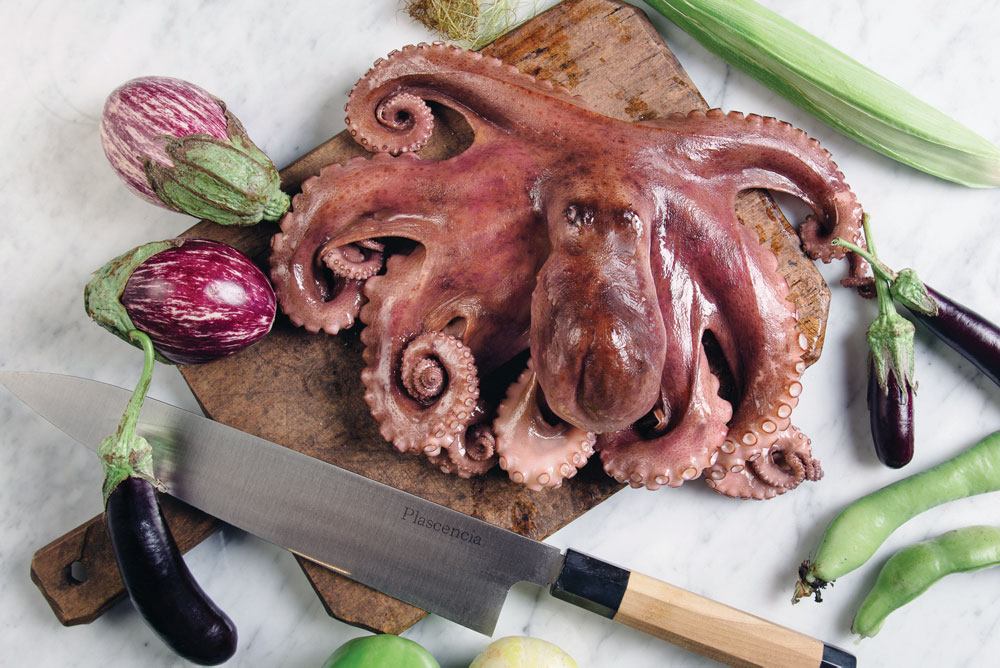 SanDiego-octopus.jpg