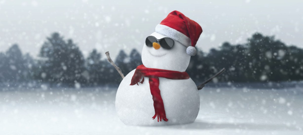 Screen Shot 2020-12-18 at 9.04.50 AM