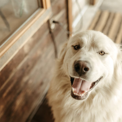 Screenshot 2026-03-31 at 1.41.36 PM