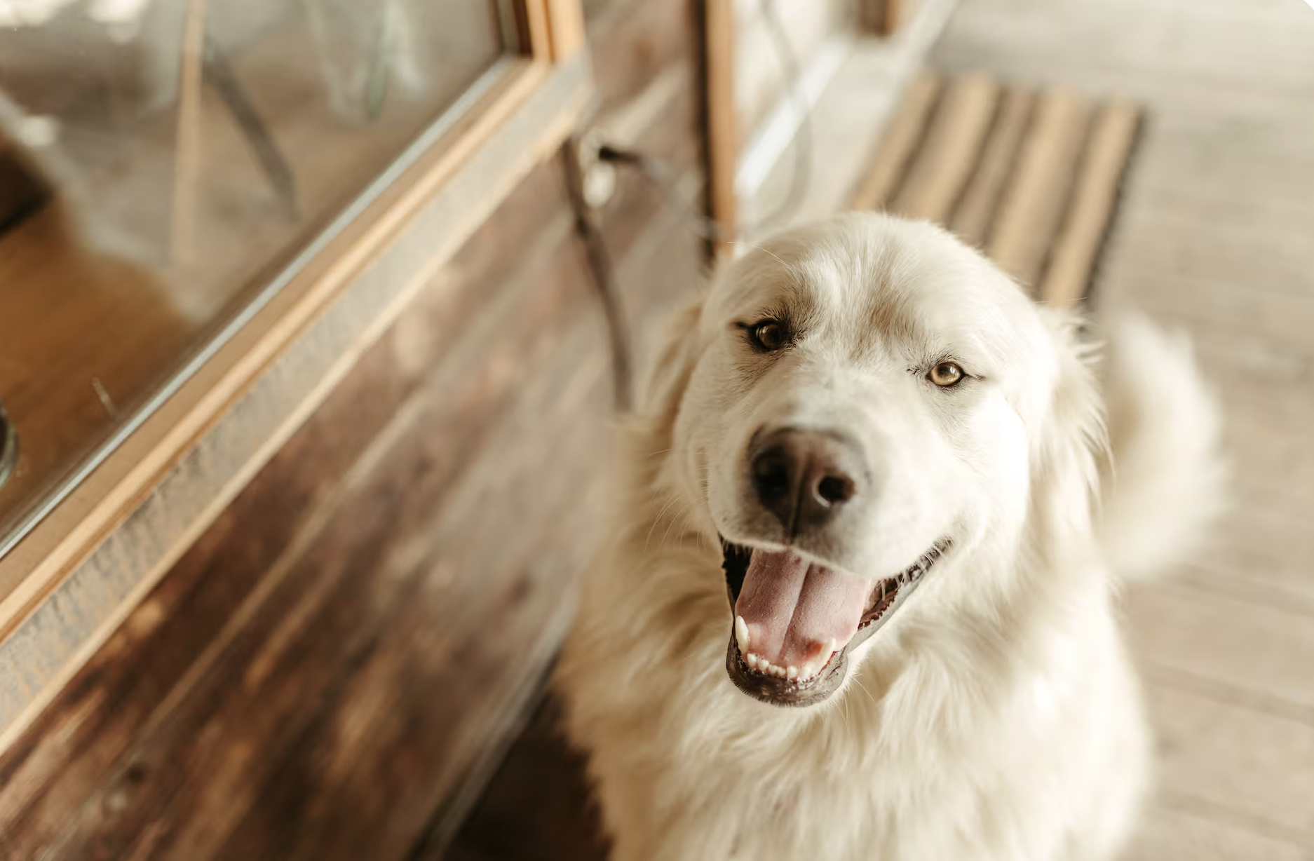 Screenshot 2026-03-31 at 1.41.36 PM