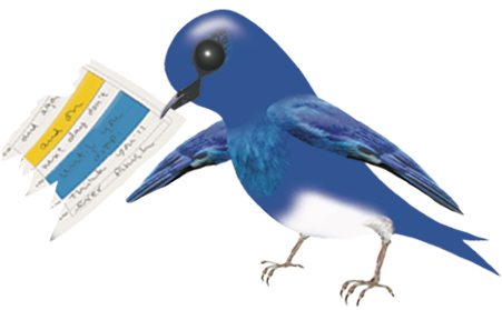 SpringClean-bird1_illustration_Kathy-Boake