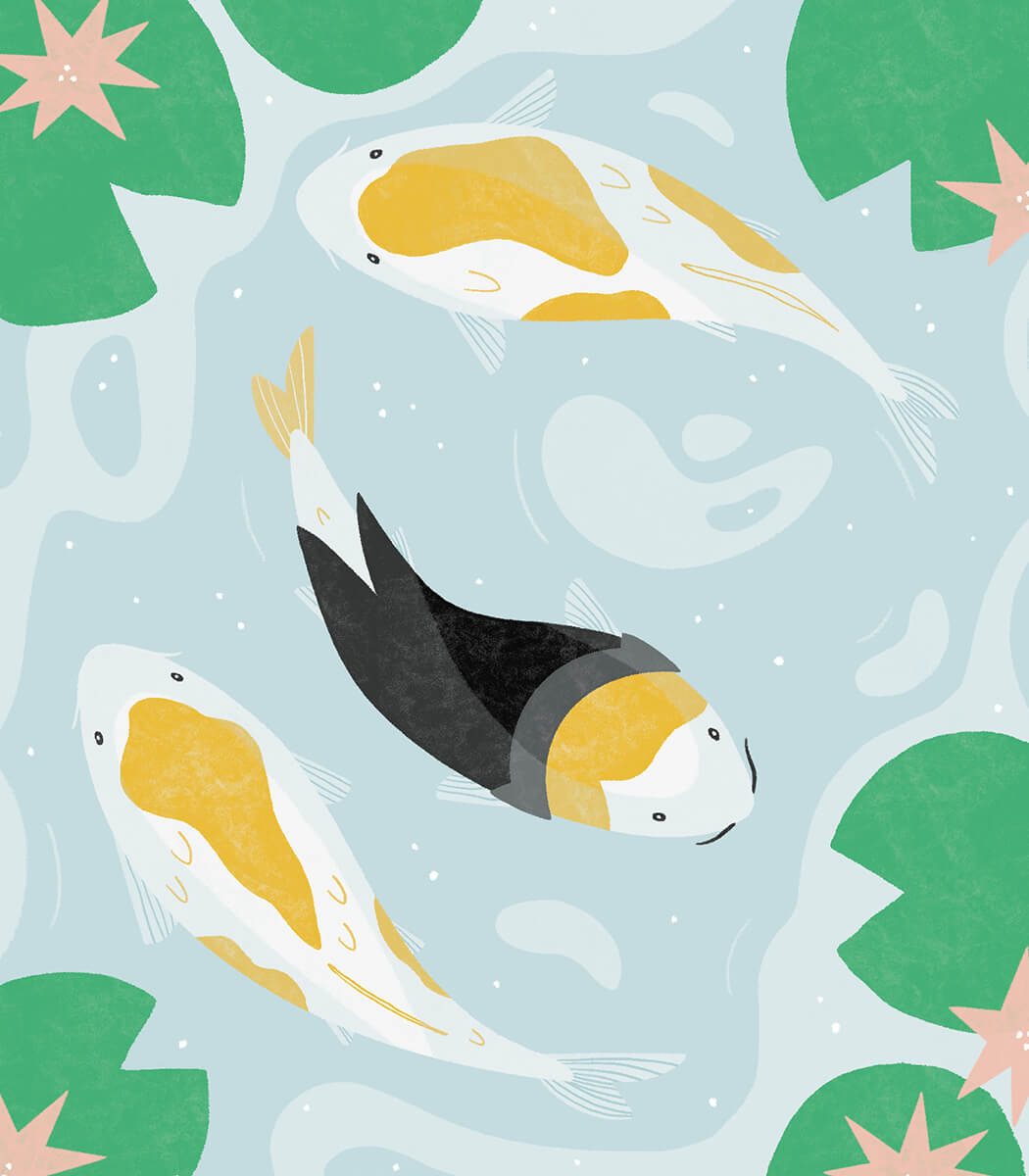 Stage_Koi_FinalWithDots