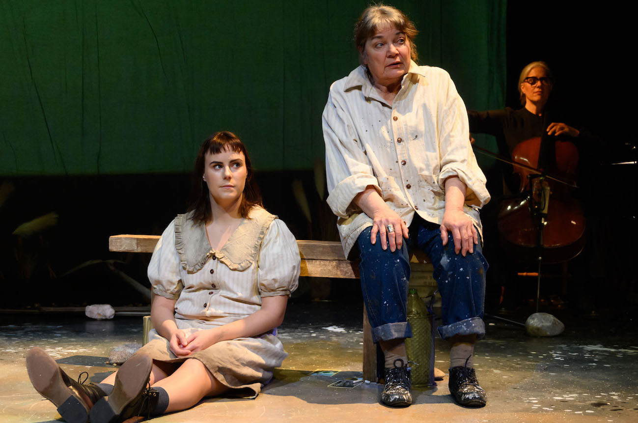 The Innocence of Trees MCZ_7373