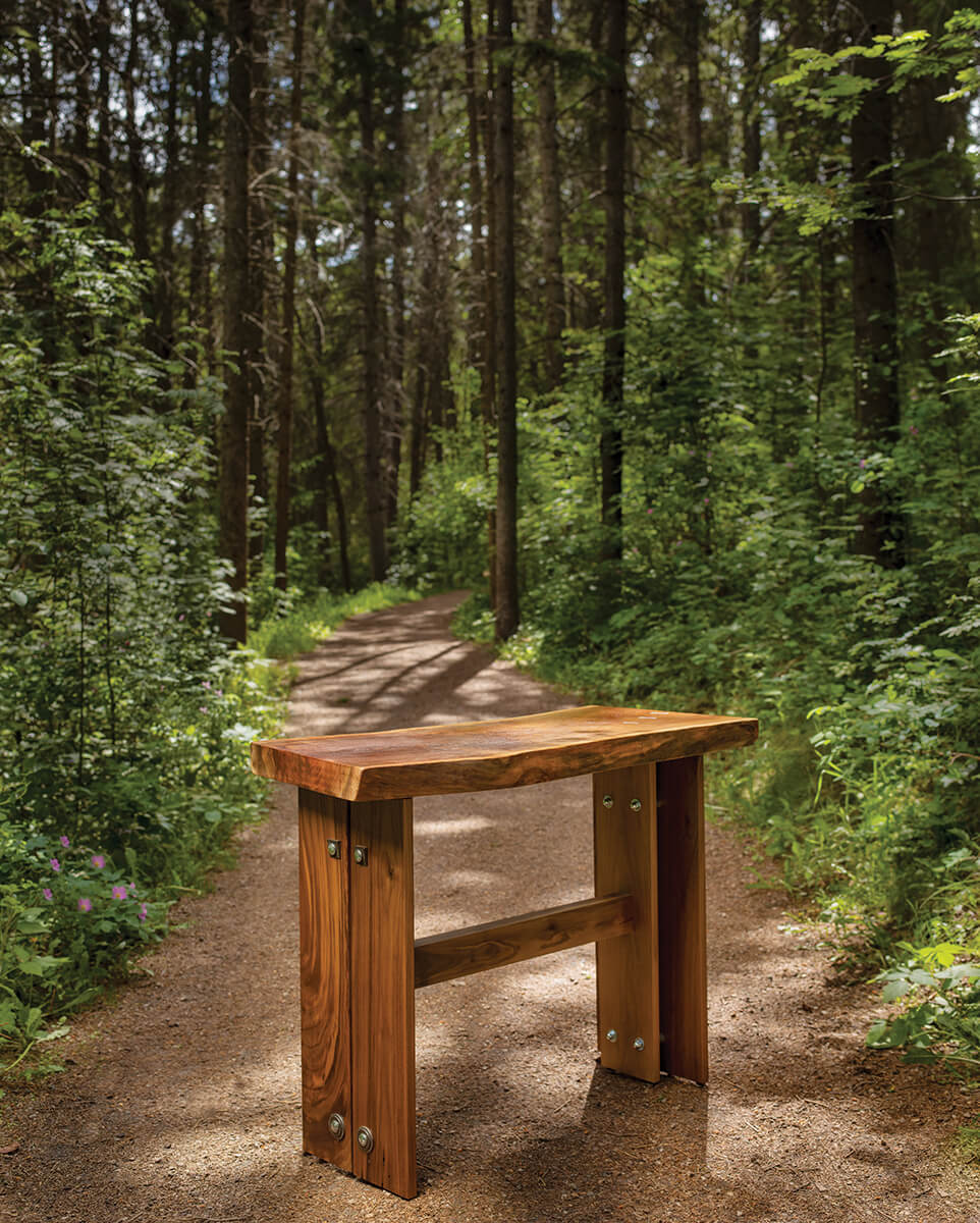 Wood_SimpleBenchOnTrailInWoods
