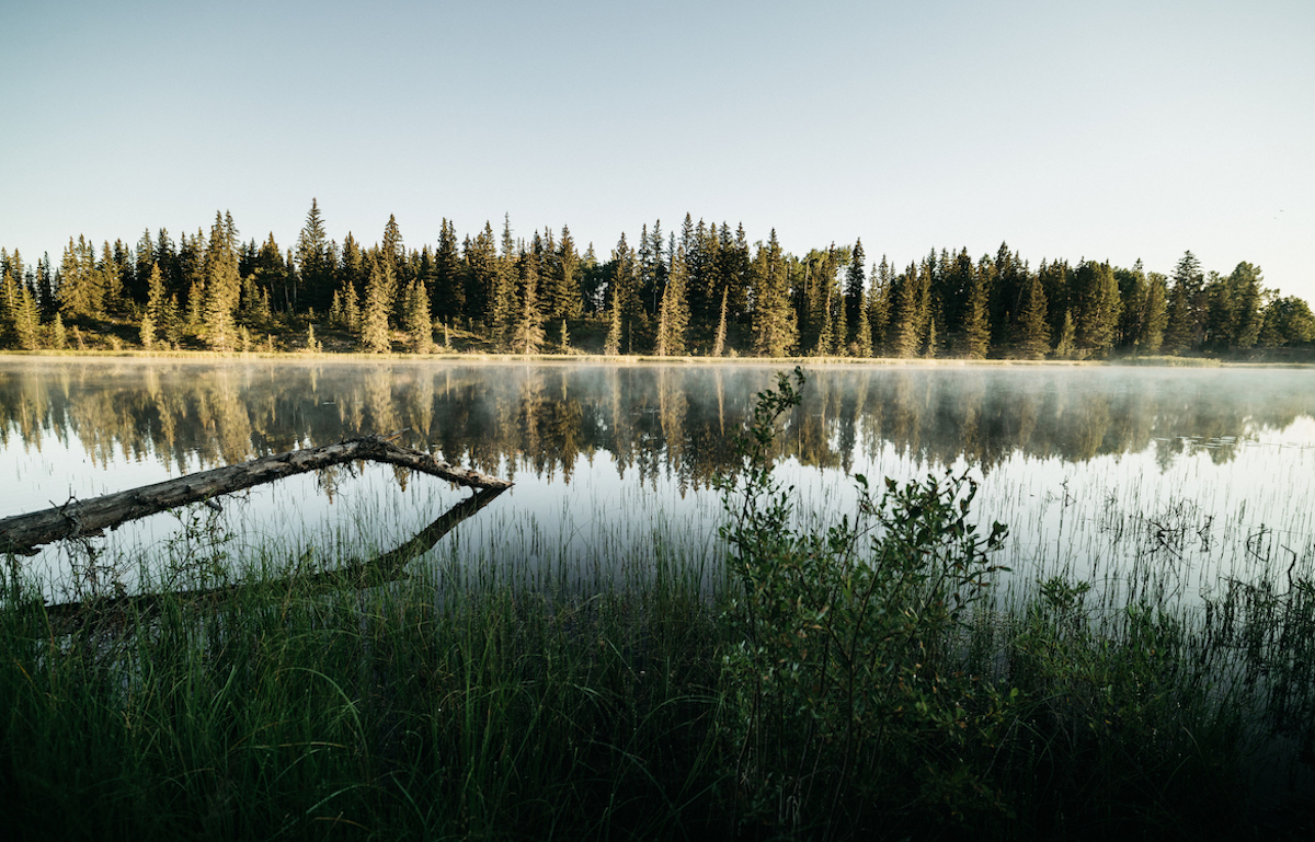 _X8A6949-Full_enlarged