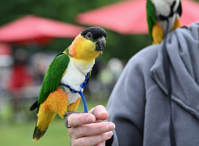25 Things to Do in June 2026