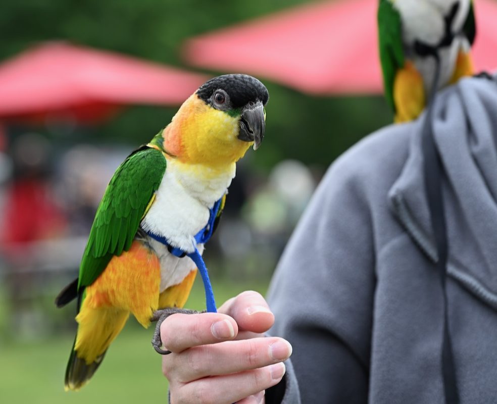 25 Things to Do in June 2026