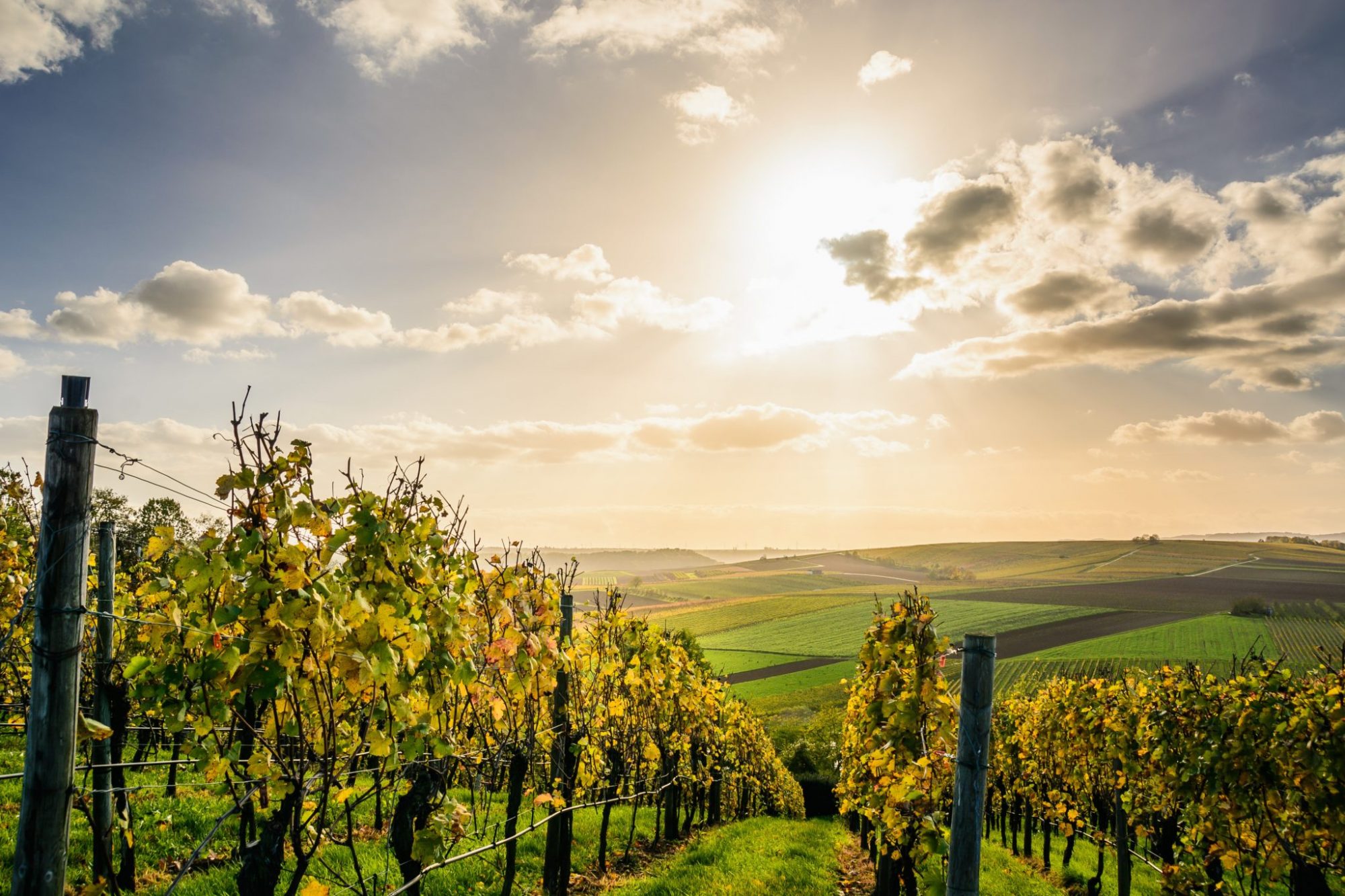 agriculture-clouds-countryside-1277181