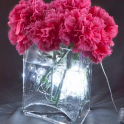 Submerse this strand of rosette lights in a vase of water and add your favourite flowers for a sweet centrepiece. It's $17.50 at Dansk Gifts. (Southgate Centre, 780-434-4013)