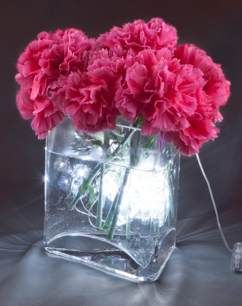 Submerse this strand of rosette lights in a vase of water and add your favourite flowers for a sweet centrepiece. It's $17.50 at Dansk Gifts. (Southgate Centre, 780-434-4013)