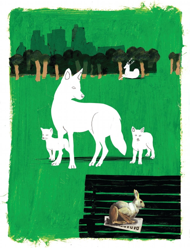 edmonton_wild_01b-4ee37579