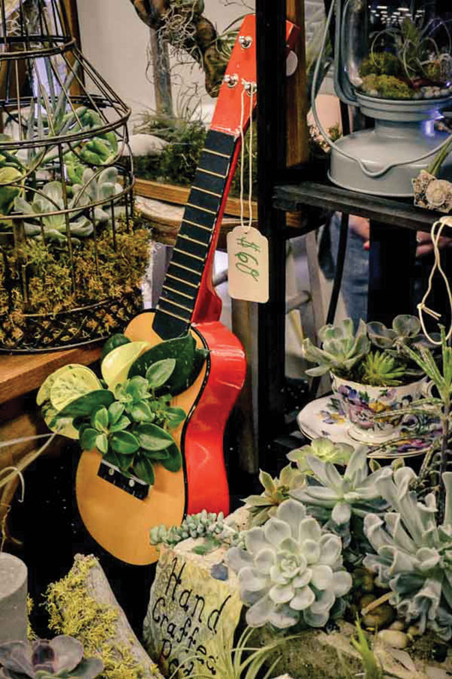 for-web_royalbison13-117