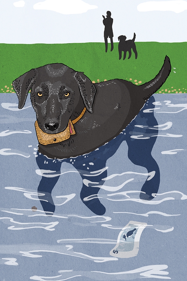 for_web_avenue_dog_days_first_final-70f237bc