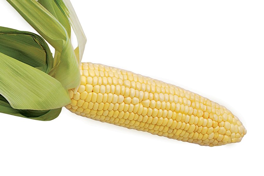 for_web_corn-7946-95732416