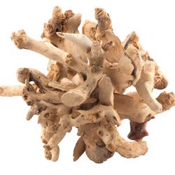 Mulberry root, $24, from Henry's Purveyor of Fine Things. (10216 124 St., 780-454-6660)