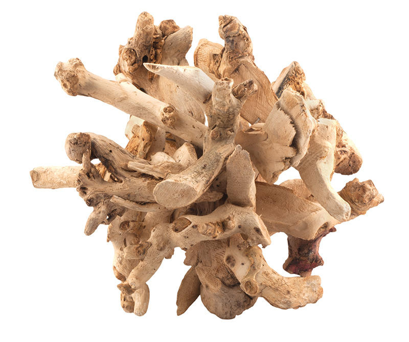 Mulberry root, $24, from Henry's Purveyor of Fine Things. (10216 124 St., 780-454-6660)