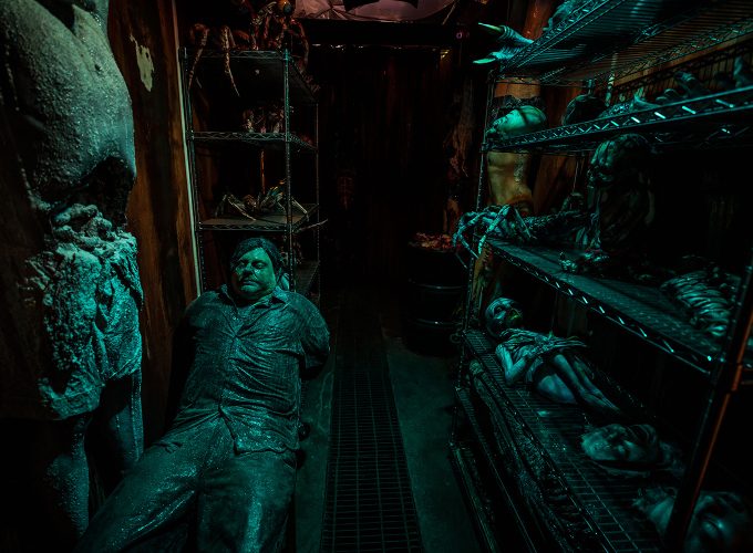Meet the Hands that Craft Deadmonton’s Horrors