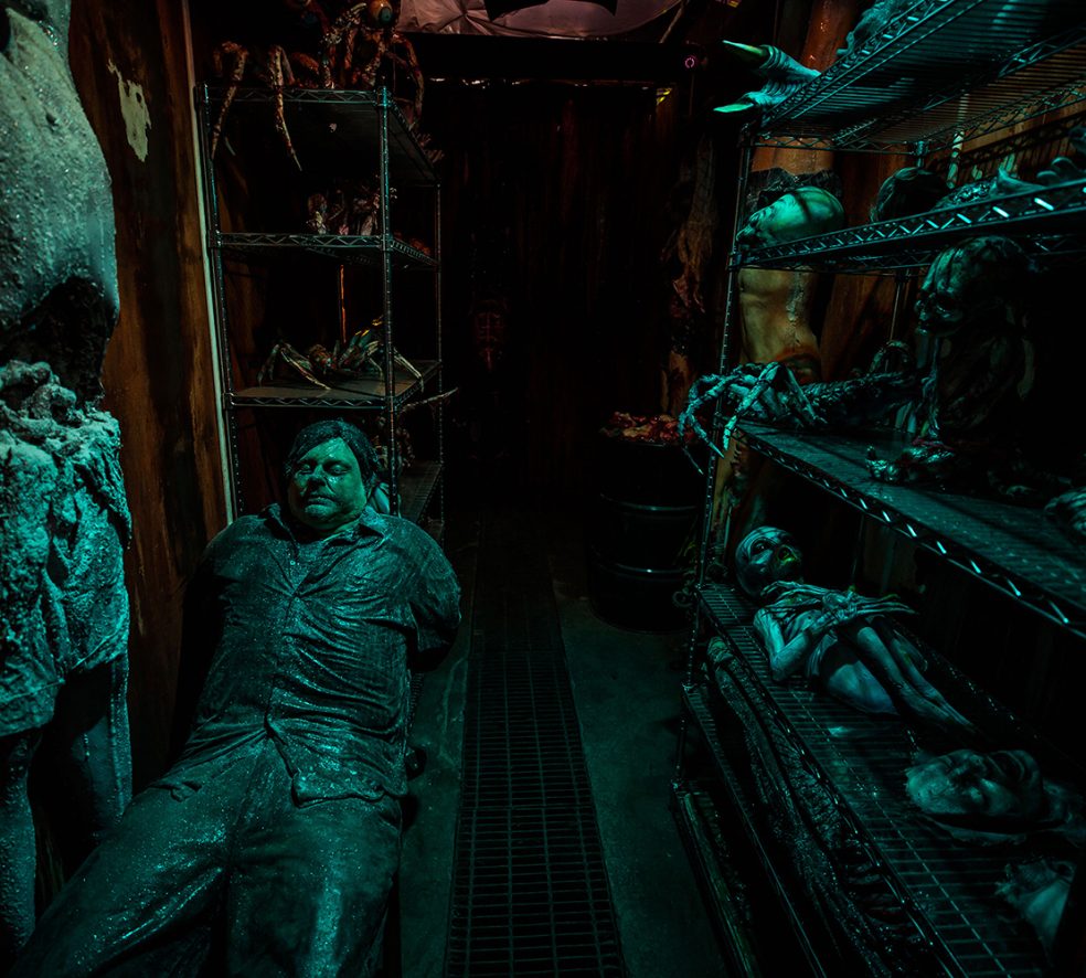 Meet the Hands that Craft Deadmonton’s Horrors