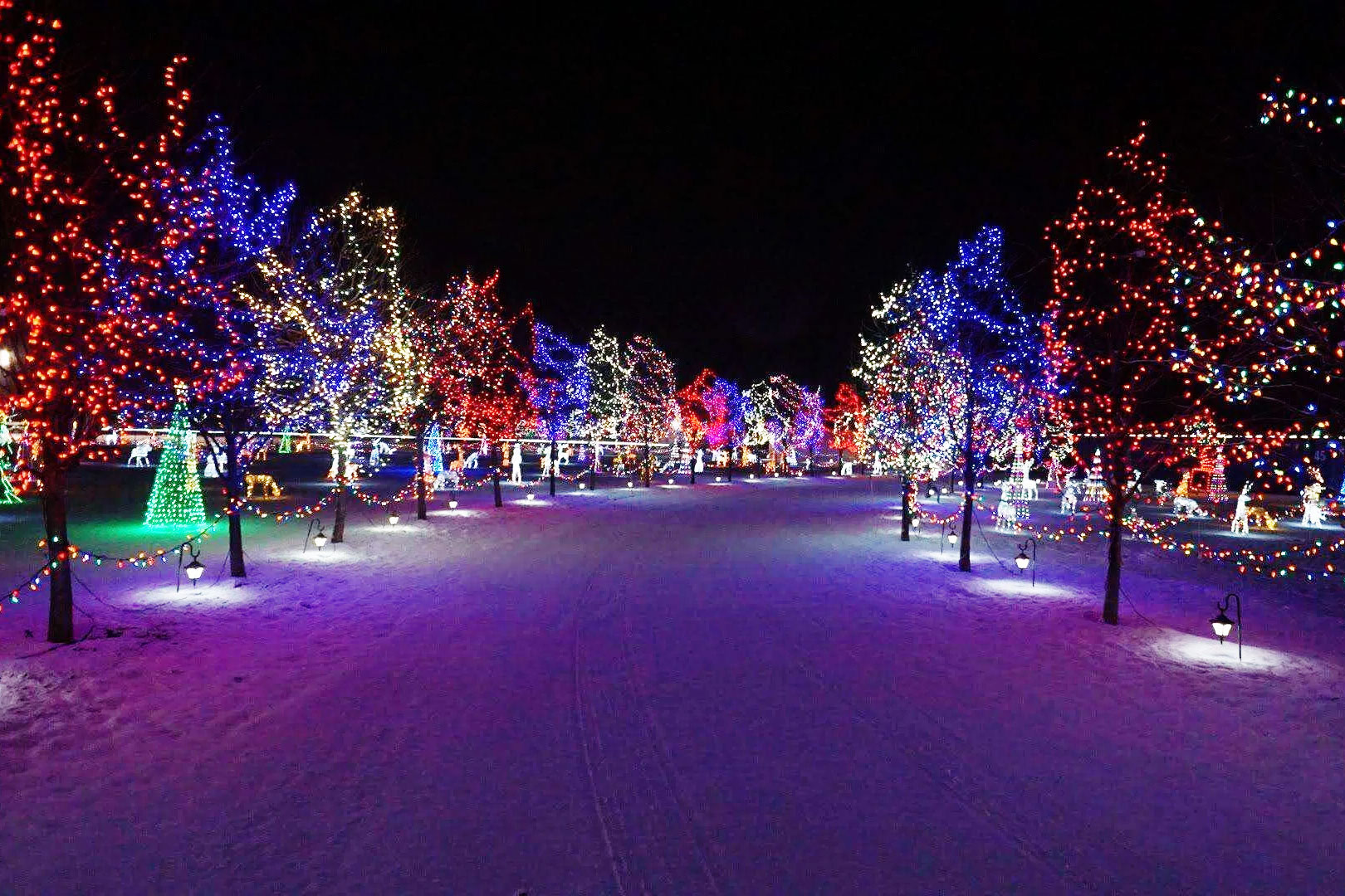 leduc_20country_20lights