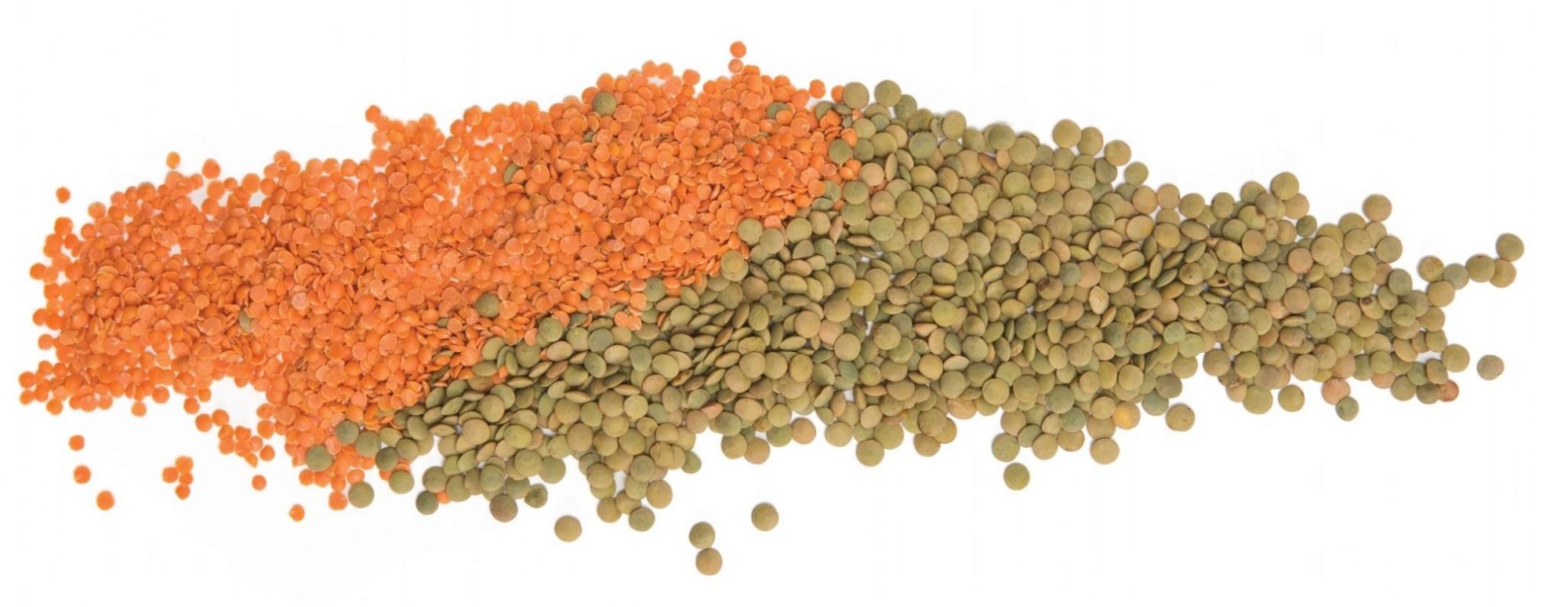 lentils-october-2-c0279e82