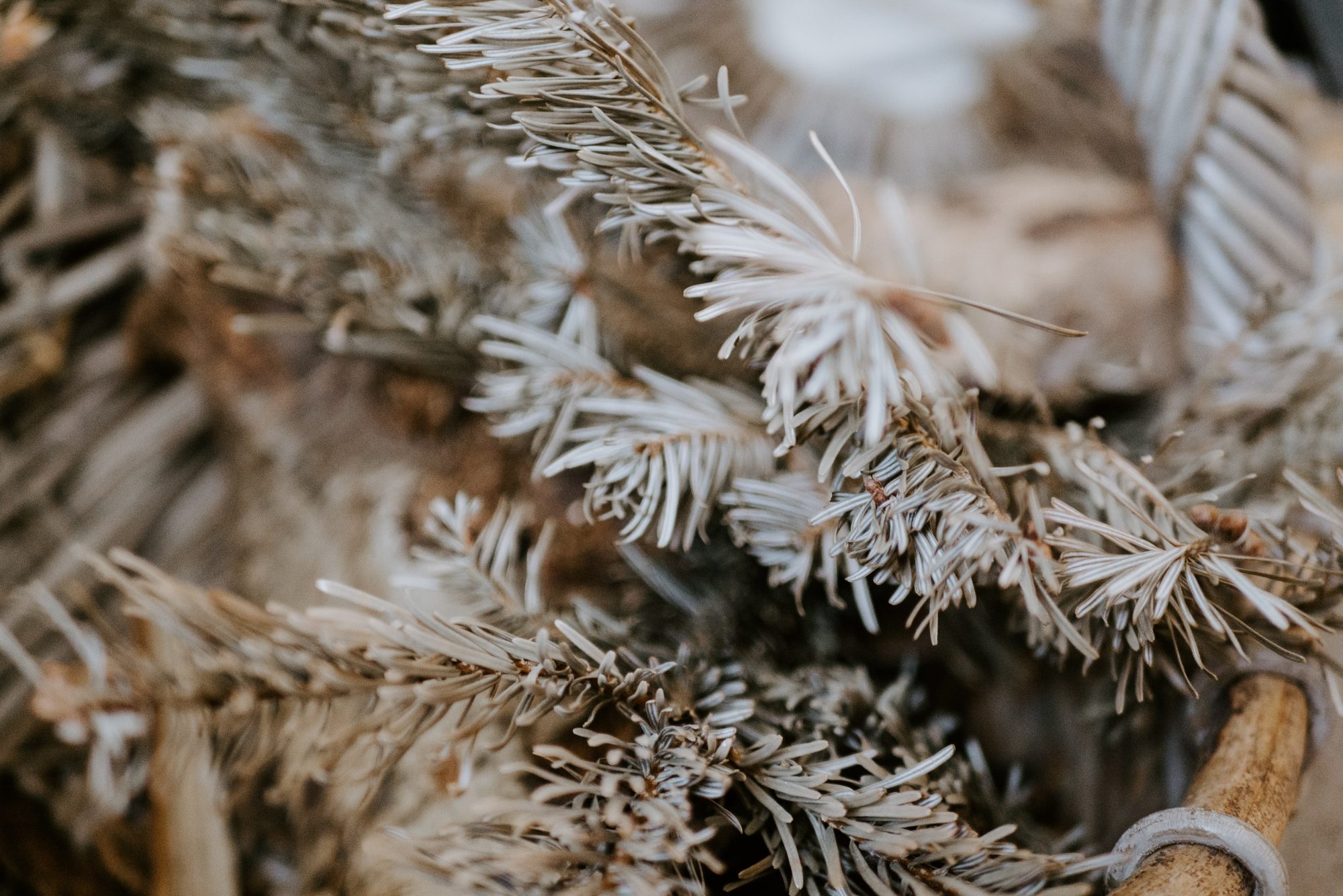 matt-seymour-t-kWyhB8vAU-unsplash