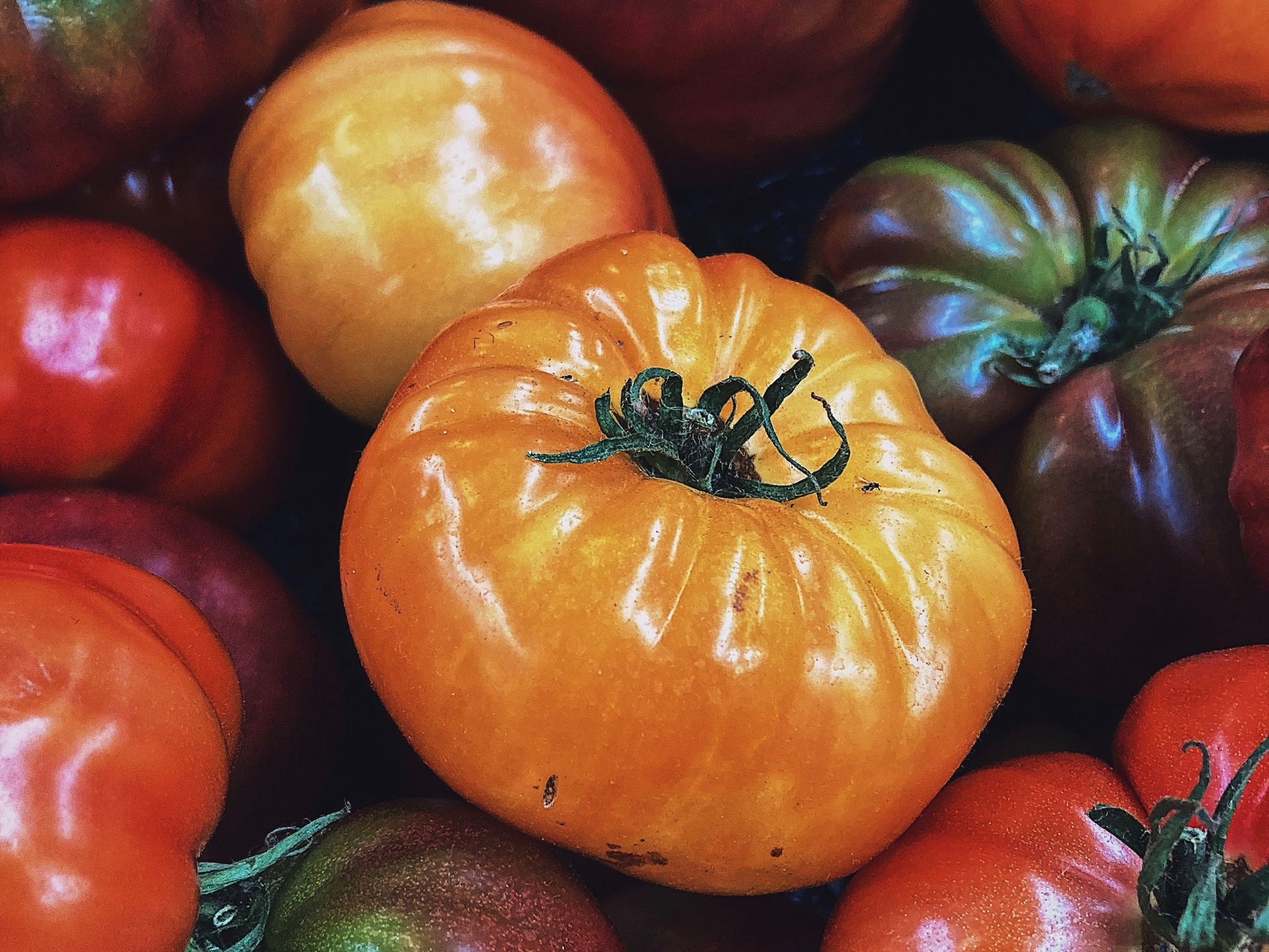 Ingredient Heirloom Tomatoes Edify.