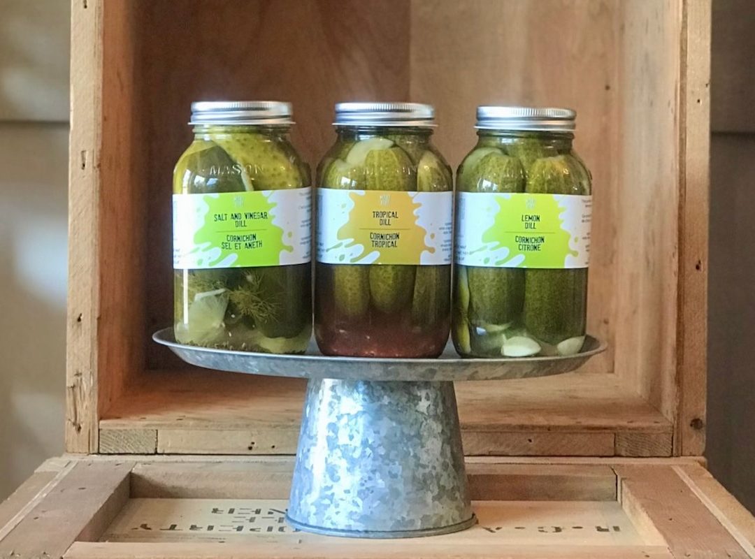 Briny Business | Edify.