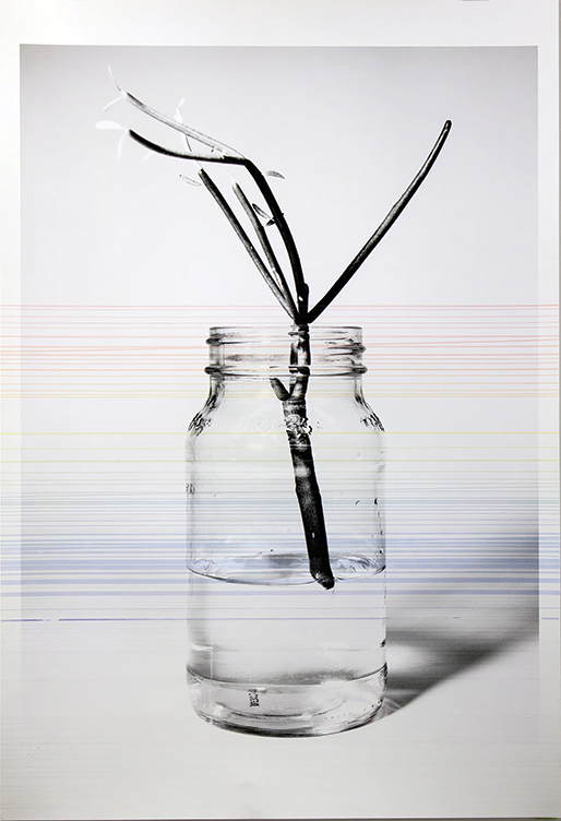 the-awakening-of-april-4