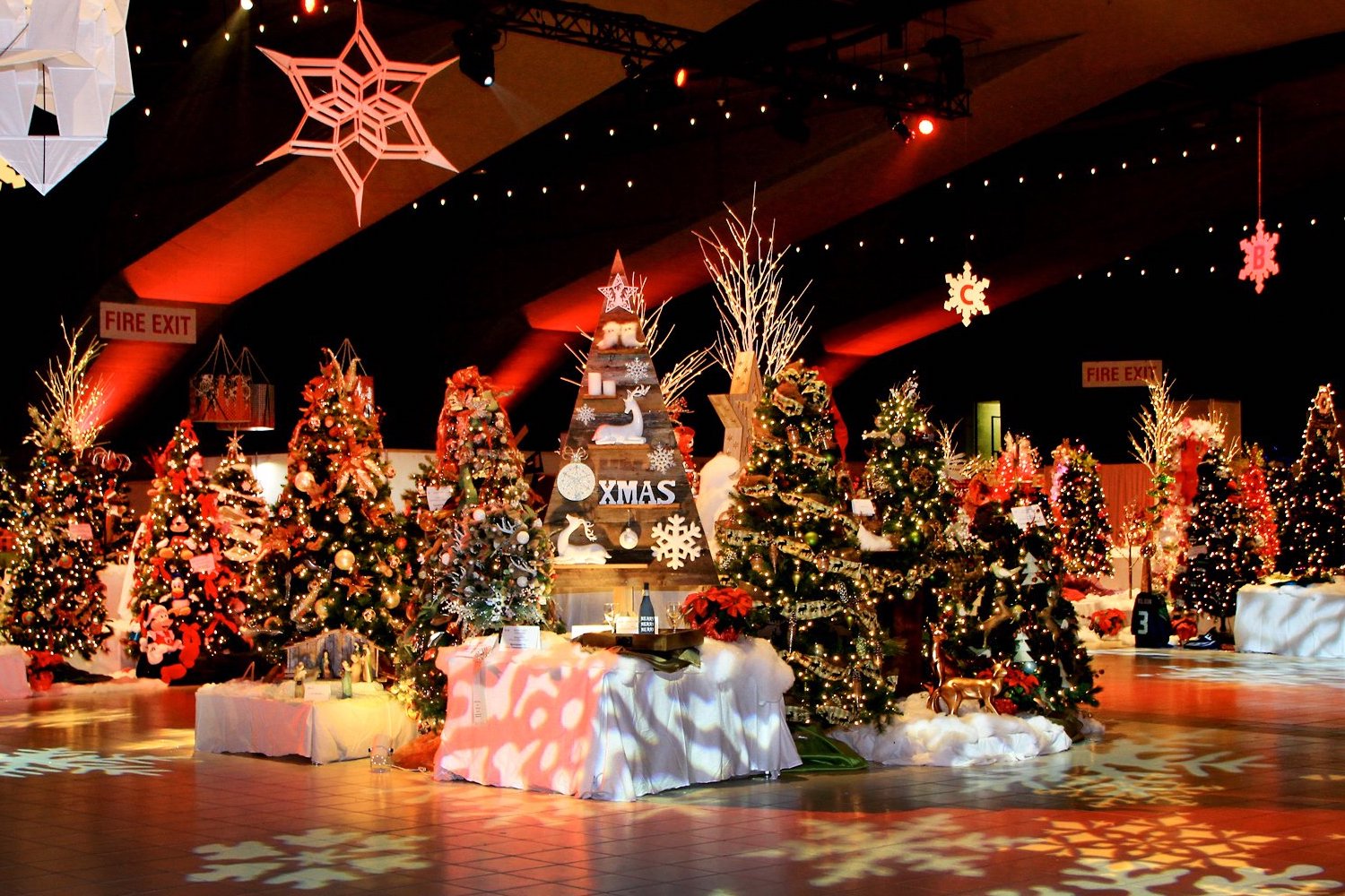 5 Things To Do In Edmonton November 25 to 29 Edify. 5 Things To Do In Edmonton November 25 to 29 Edify.